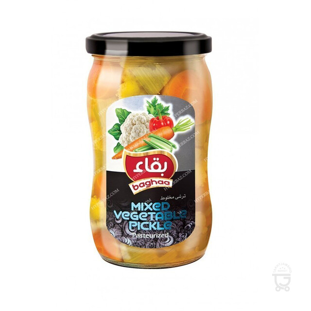ترشی  مخلوط سالسا580گ بقاء