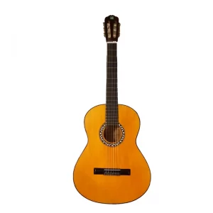 گیتار دیاموند