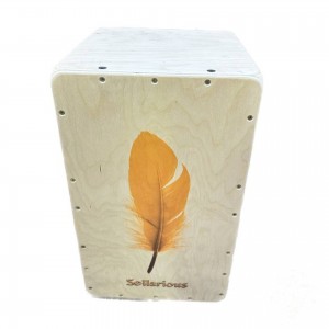 کاخن سلاریوس 6 سیم