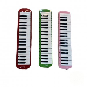 ملودیکا آیرین 37 کلید