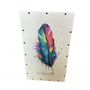 کاخن سلاریوس پلاس 10 سیم