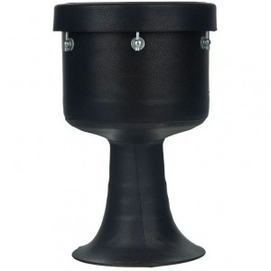 ضرب برند پژواک