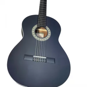 گیتار کلاسیک پارسی مدل M4-ملودی ساز2
