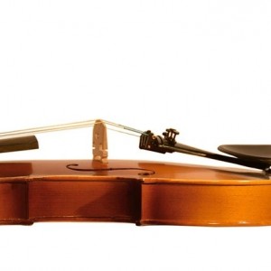 ویولن تی اف مدل 142 سایز 4/4-ملودی ساز3
