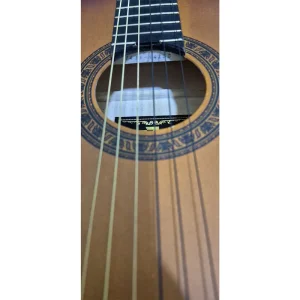 گیتار کلاسیک سون مدل MZ-3-ملودی ساز4