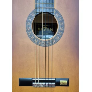 گیتار کلاسیک سون مدل MZ-3-ملودی ساز6