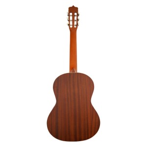 گیتار پارسی مدل P40-ملودی ساز3