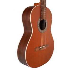 گیتار پارسی مدل P40-ملودی ساز7