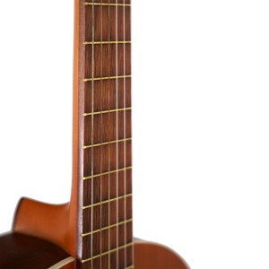 گیتار پارسی مدل P40-ملودی ساز8