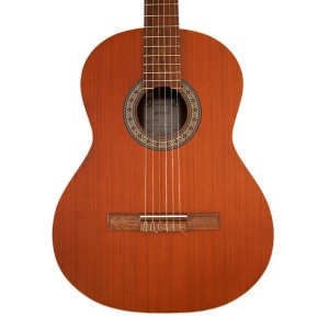 گیتار پارسی مدل P40-ملودی ساز2