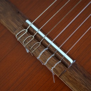 گیتار پارسی مدل P40-ملودی ساز10