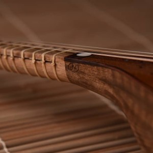 سه تار نادعلی-ملودی ساز2