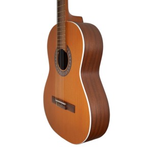 گیتار پارسی مدل M5-ملودی ساز5