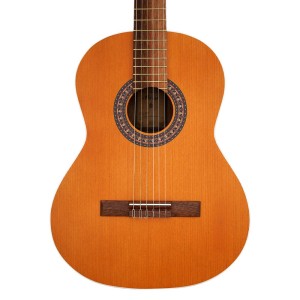 گیتار پارسی مدل M5-ملودی ساز8