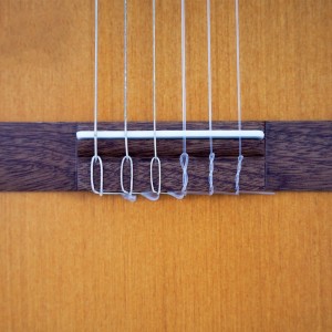 گیتار پارسی مدل M5-ملودی ساز3