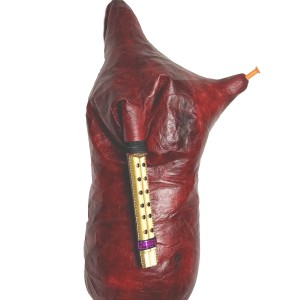 نی انبان گلزاده