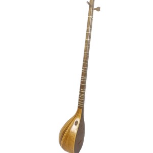 سه تار همنوا-ملودی ساز2