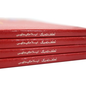 کتاب لطف تمبک، آموزش ریتم به کودکان به کمک شعر اثر لیلا حکیم الهی-ملودی ساز3