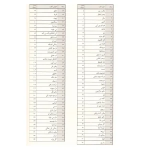 کتاب گلبانگ 73 ترانه پاپ برای ویولن اثر مهدی توپچی  جلد (1)-ملودی ساز2