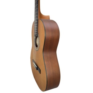 گیتار کلاسیک پارسی مدل M2-ملودی ساز4