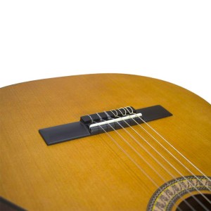 گیتار کلاسیک پارسی مدل M2-ملودی ساز3
