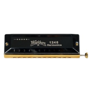 سازدهنی کروماتیک Washburn 1248