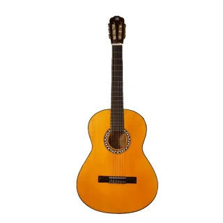 گیتار دیاموند