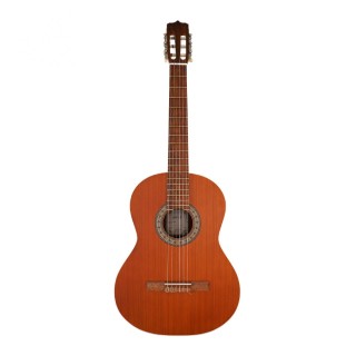 گیتار پارسی مدل P40