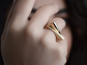 

انگشتر نامزدی
انگشتر تک نگین
انگشتر نقره
انگشتر مردانه
خرید انگشتر


انگشتر
انگشتر با جنس مختلف در دو دسته بندی بزرگ اصل و بدلیجات...