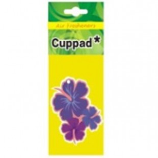 خوشبو کننده کارتی خودرو