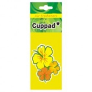 خوشبو کننده کارتی خودرو