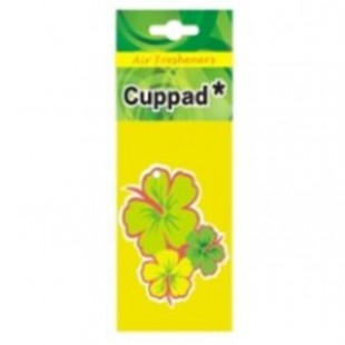 خوشبو کننده کارتی خودرو