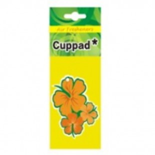 خوشبو کننده کارتی خودرو