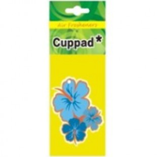 خوشبو کننده کارتی خودرو