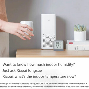 قیمت دماسنج بلوتوثی شیائومی