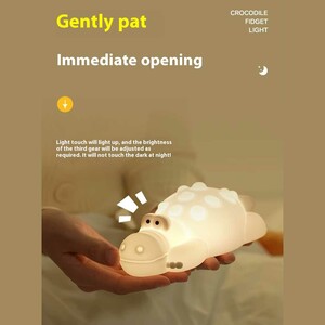 چراغ خواب فشاری شارژی رانمی