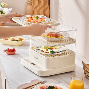 خرید دستگاه بخار پز 20 لیتری