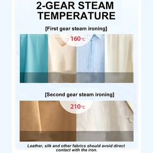 اتو بخار برقی و پرزگیر لباس مورفی ریچاردز