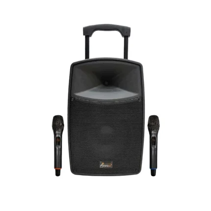 معرفی انواع اکو (کمری و همراه)