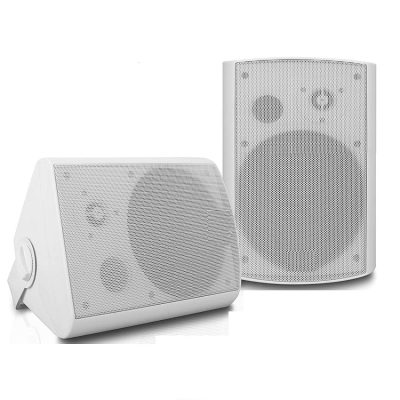 آشنایی با انواع اسپیکر دیواری