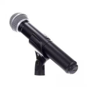 SHURE             Blx288/SM58