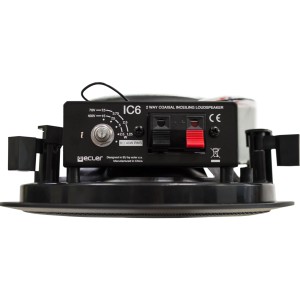 Ecler         IC6