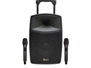 اگر می‌خواهید با انواع اکو (کمری و همراه) آشنا شوید و بدانید هر کدام چه ویژگی‌هایی دارند، تا انتهای این مطلب همراه ما باشید.