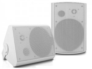 در صورتی که قصد خرید اسپیکر دیواری دارید و می‌خواهید با انواع آن آشنا شوید، تا انتهای این مطلب همراه ما باشید.