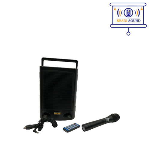 اکو همراه D&amp;amp;D مدل  AP 910