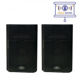 بلندگو  اکتیو peavey مدل DPE 2p
