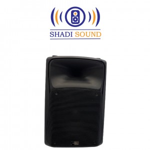 باند اکتیو 12 اینچ ‏PRO/EL