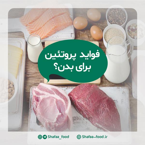 اهمیت مصرف پروتئین و لبنیات برای سلامت بدن
