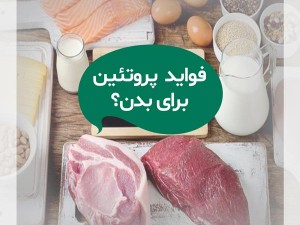 اهمیت مصرف پروتئین و لبنیات برای سلامت بدن