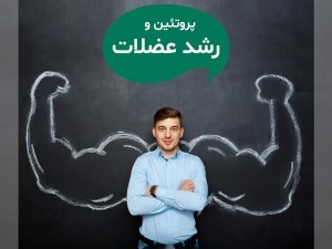 تاثیر مصرف پروتئین در رشد عضلات ورزشکاران